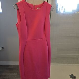 Calvin Klein Women's Pink Dress
